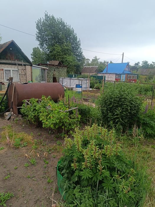 Продам дачу ст. Энергетик 2