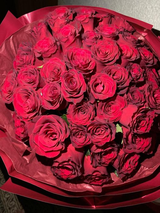 Цветы цветок цветы