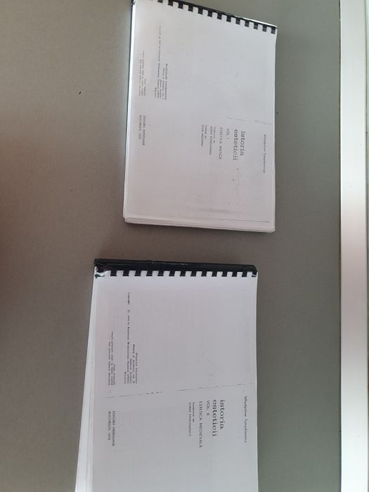 Copie Istoria Esteticii, vol 1-2