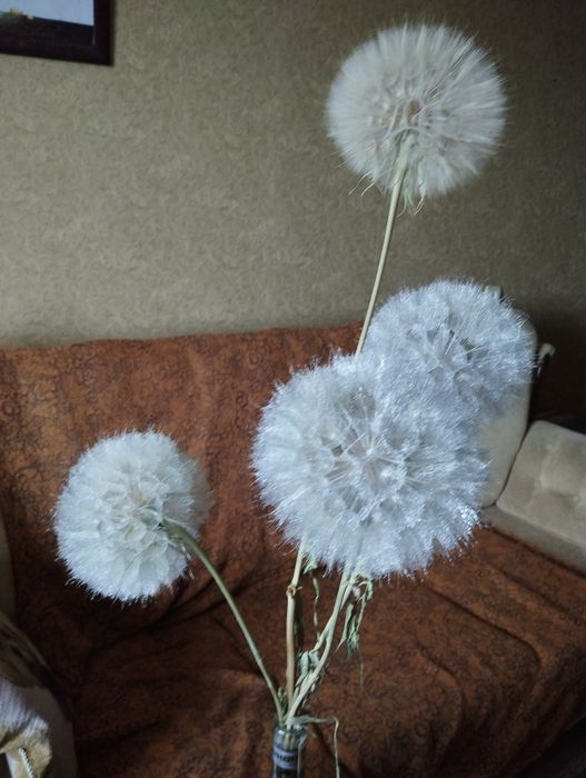 Сухостои для творчества