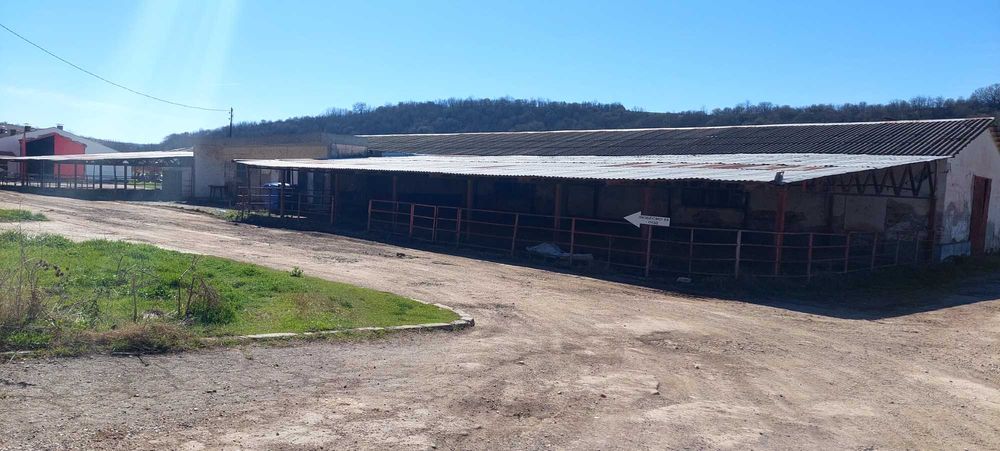 Продава се Промишлена сграда в с. Рибен, Област Плевен - 4100 кв.м за 57 €/кв.м - Снимка #13