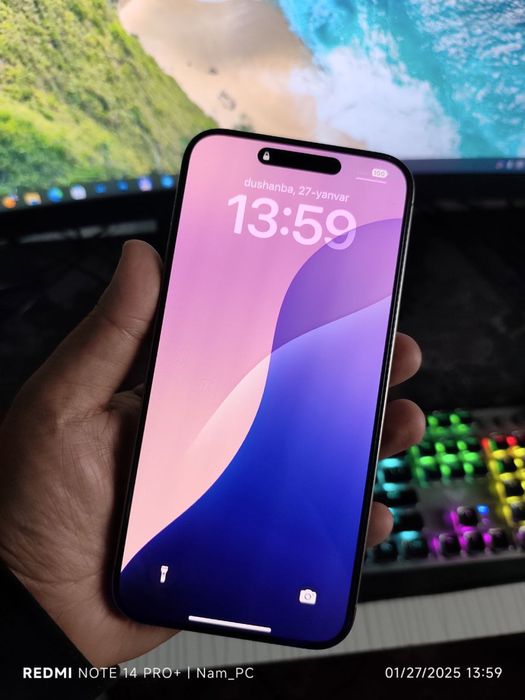 iPhone 15 Pro Max / 256 GB