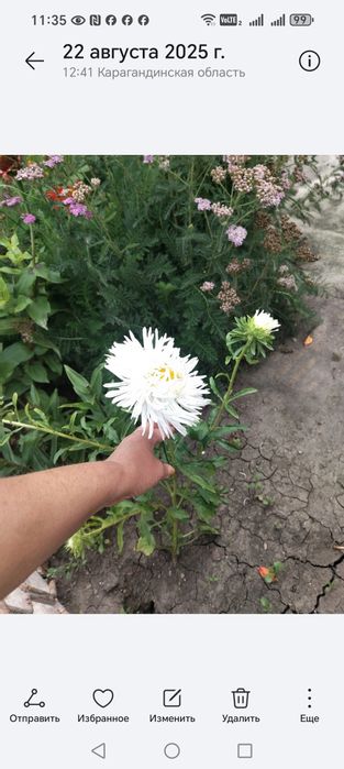 Продаётся дача  ПК "Черемушки"