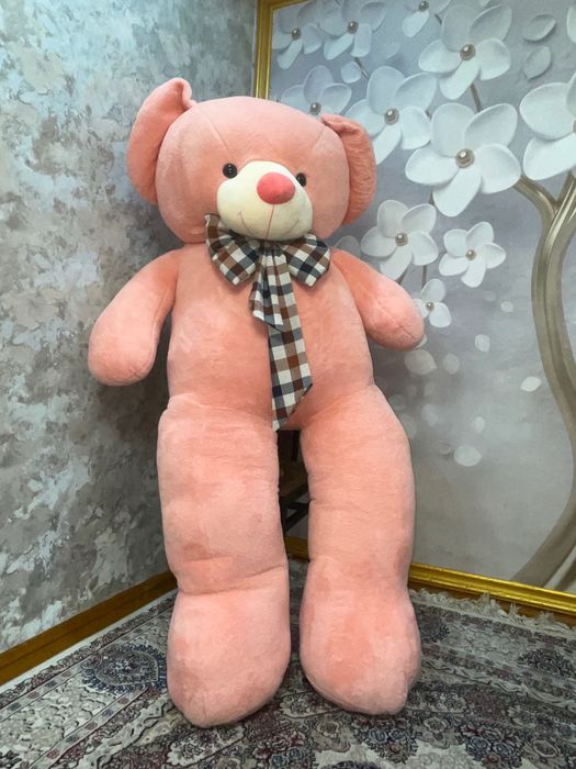 Yumshoq ayiq . Yangi