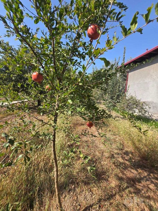 Chilonzorda 9 sotix xususiy mulk yeri — 35×33 M, QURILISHGA TAYYOR!