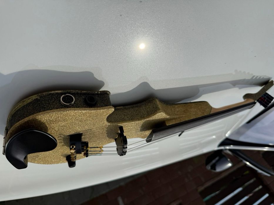 Zeta superba pentru tineret