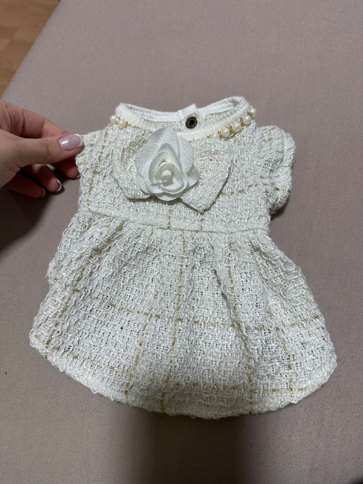 Рокличка за малка порода куче