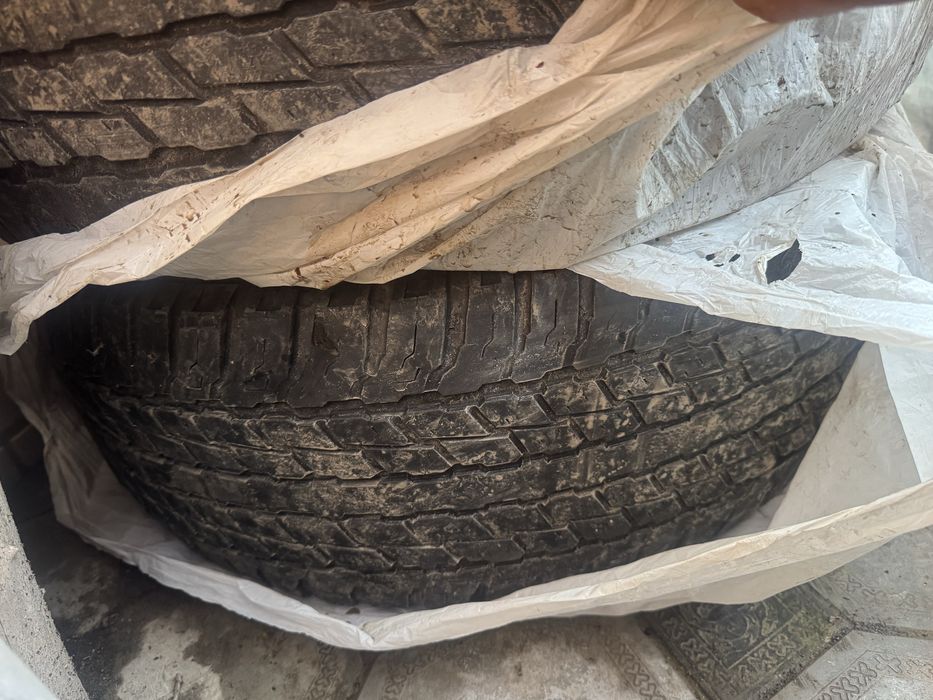 Летние шины на 200 ку