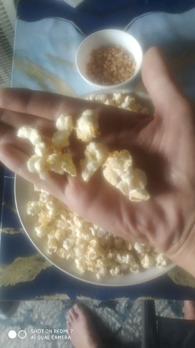 Попкорн дони. Сифати зур.