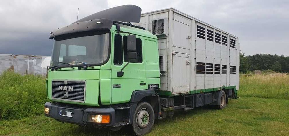 Vând MAN 14264 transport animale
