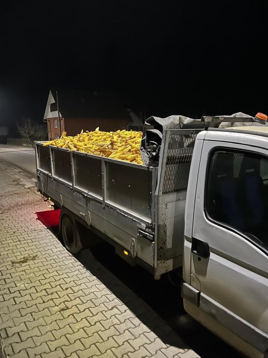 Porumb stiulet sau boabe transport inclus