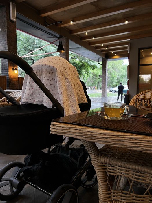 Коляска черная 2 в 1