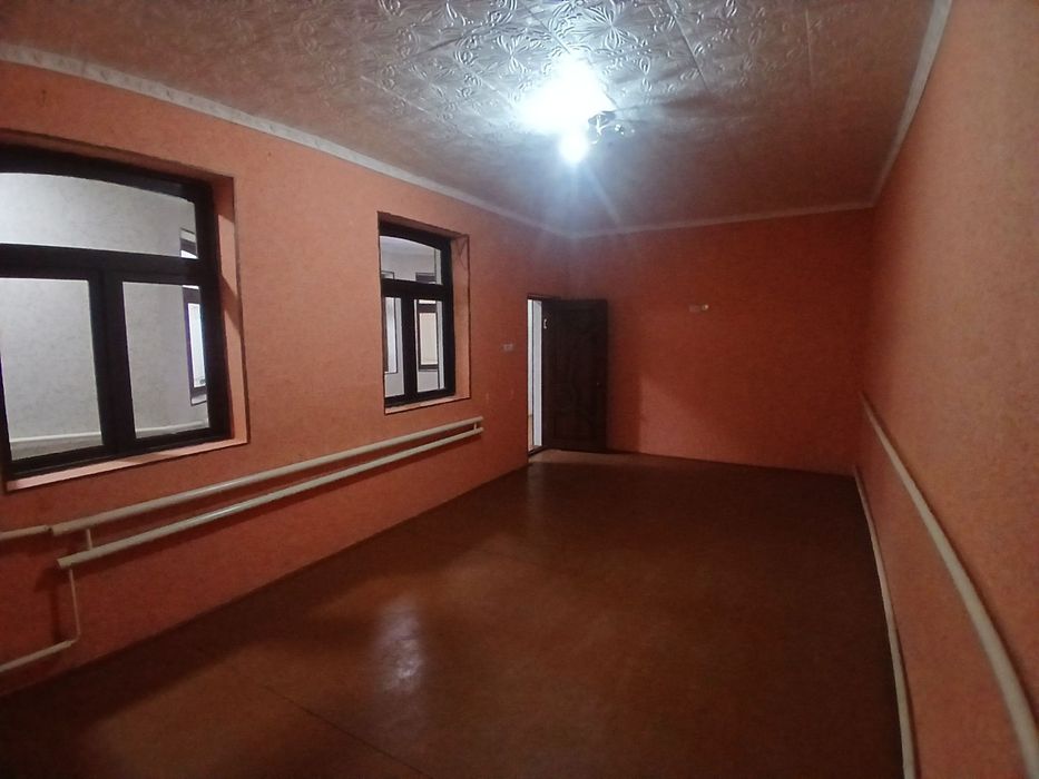 Kotej xovli!! Zamonaviy uslubda