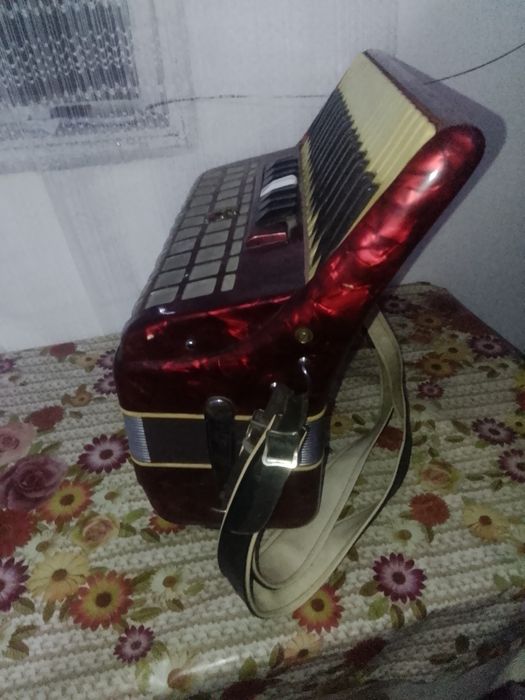 Acordeon parot 96basi