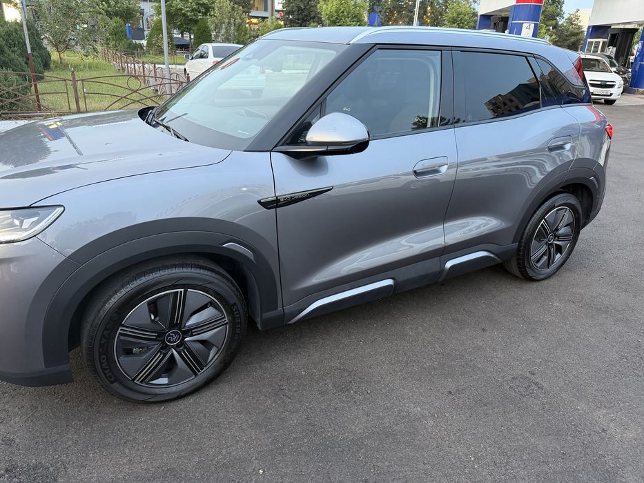 Byd yuan up 2024