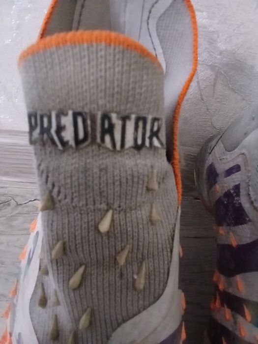 Продам сороконожки PREDATOR