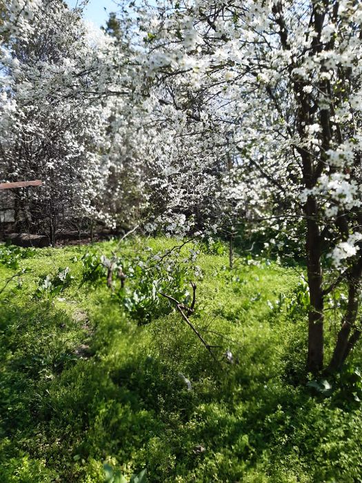 Casa cu teren 1200 mp si deschidere la lac