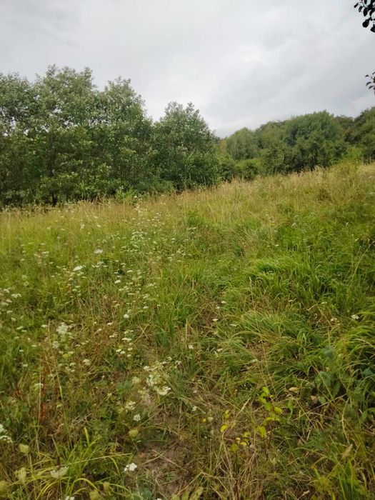 Vand teren extravilan - Comanca (Băile Olanesti - jud. Valcea)