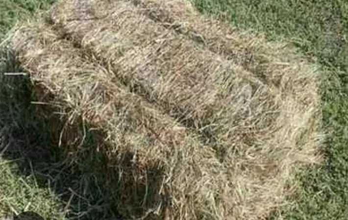 Продаем горное сено таудың шөбі