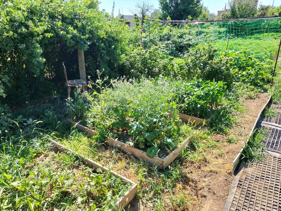 Продам дачу ПК Здравница, медьзавод.