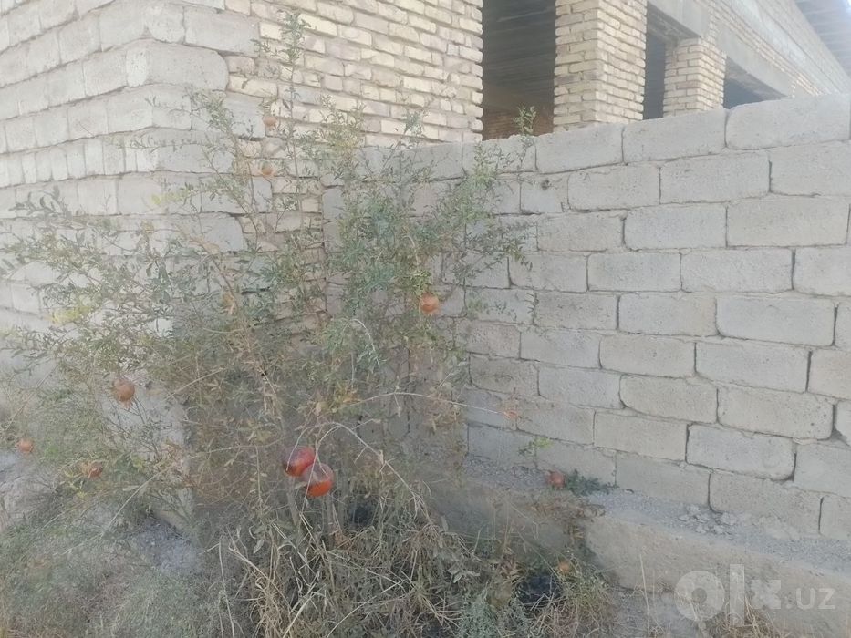 Qarshi tumani Tuqmangʻit massividan yer sotiladi