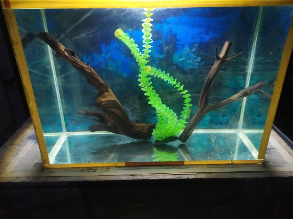 Аквариум 105л + бонусы и рыбки.