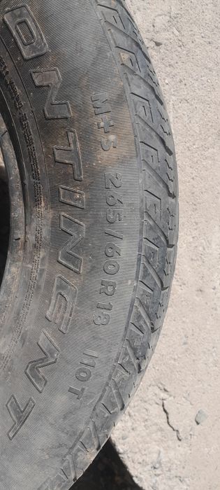Покрышка тегін 2000тг