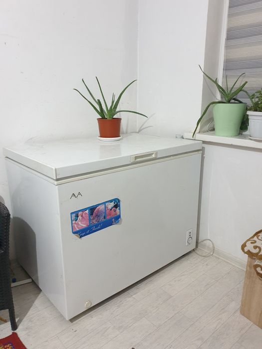 Морозильник сатамыз 300л