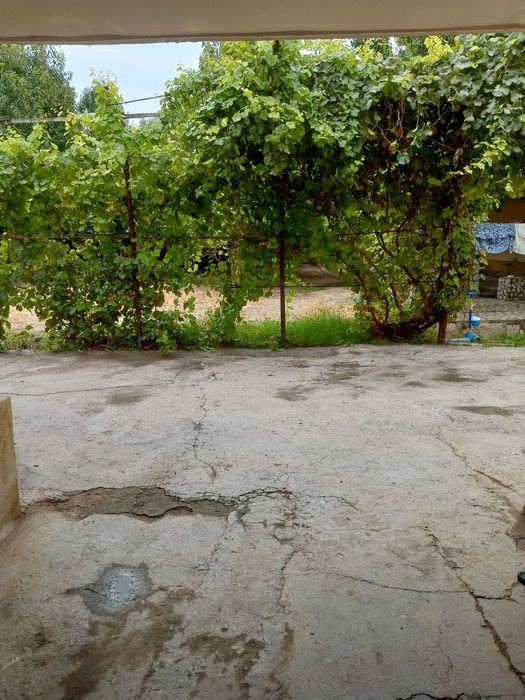 Xovli sotiladi 8xona