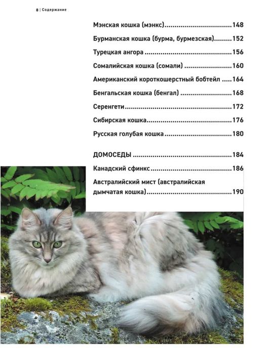 Книга "Породы кошек "