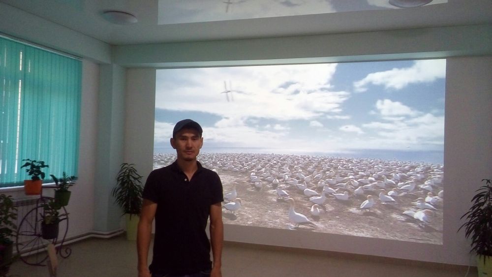 Установка проектора