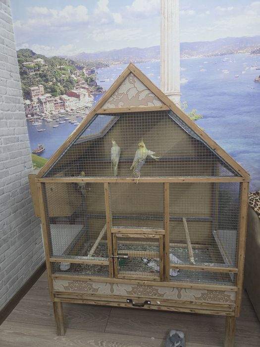 Корелла попугай с клеткой