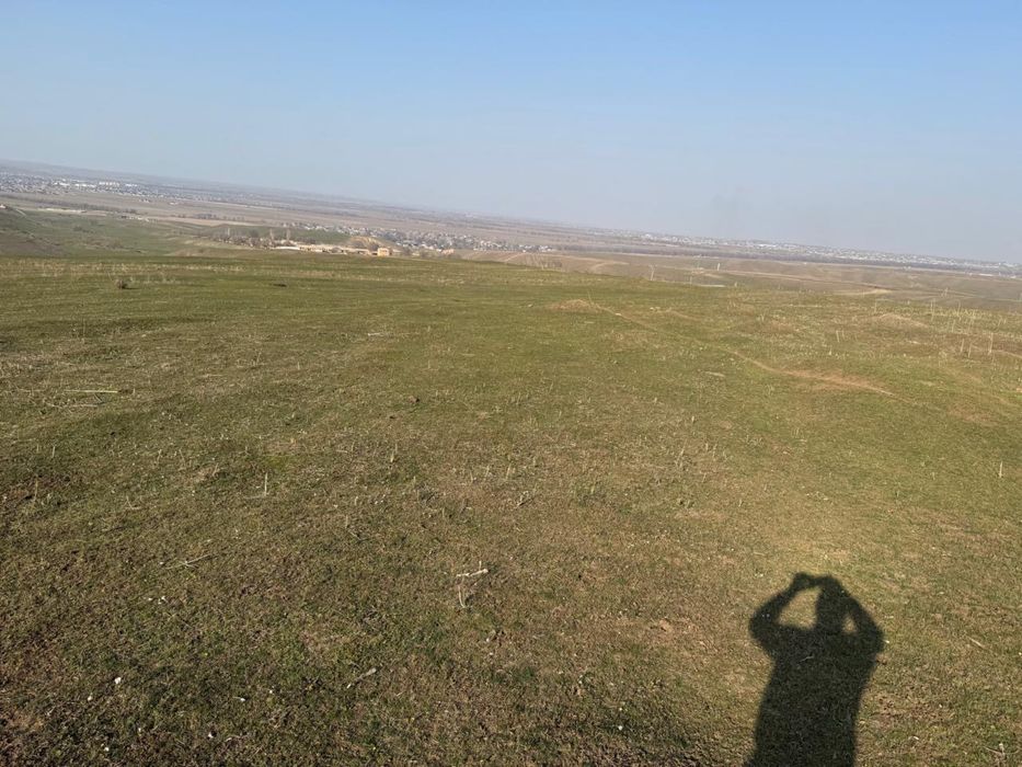 Земельный участок