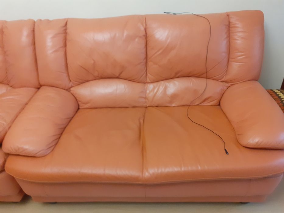 Canapea de piele 2 locuri