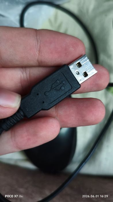 Мышка Genius NetScroll 120
