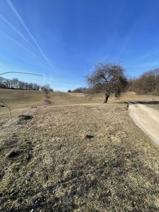 Teren in sat Tomnatic 4330mp