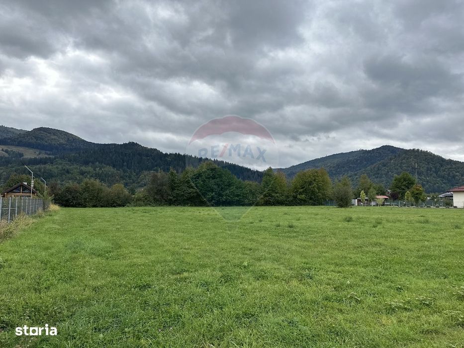 Teren 1,023mp Vadurele (Alexandru cel Bun) / Strada Stejarilor