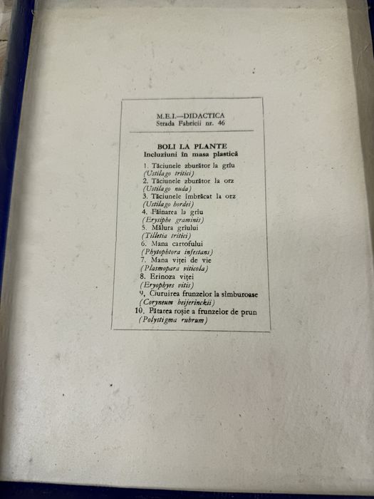 Incluziuni Boli la plante