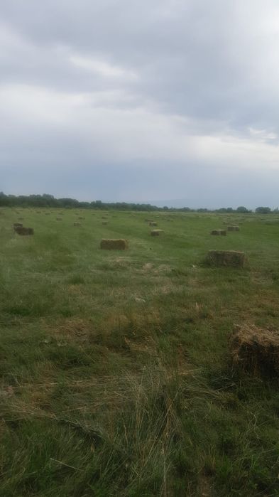 Сено с доставкой разнотравие