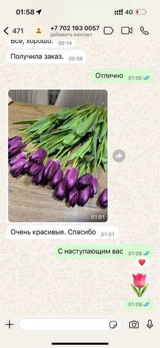 Беларусский тюльпан оптом