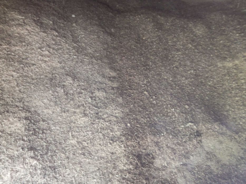 Apilka donboq tovuqlar uchun