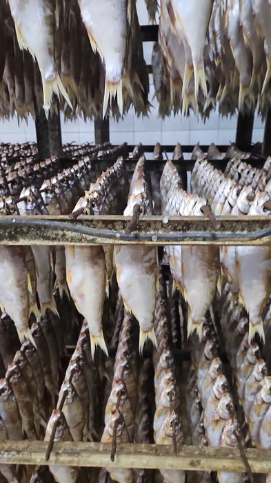 Вяленная вобла,чехонь