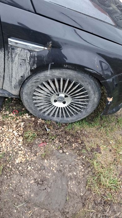 Опил тигра 2006 г