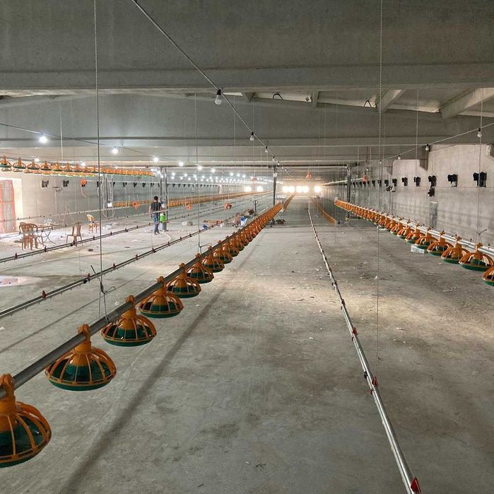 Клетка для кур несушек