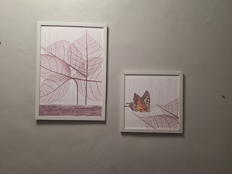 2 броя картини с рамки