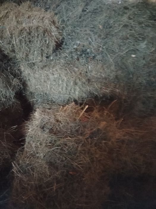 Vand baloti fân și otava