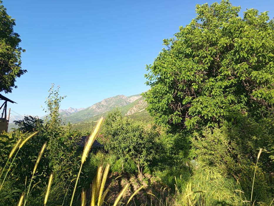 Участка сотилады