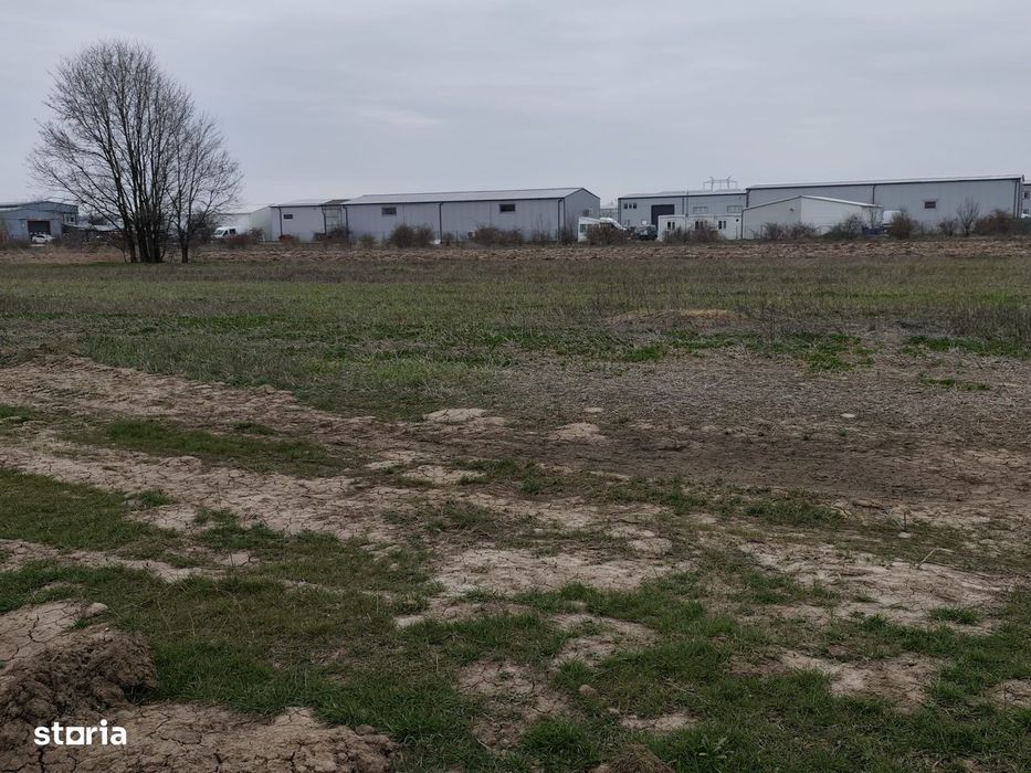 Fara Comisioane Loturi Teren Constructii Hale In Zona De Hale Merita V