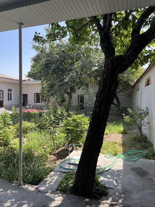 Uchaska olmazor tumanida sotiladi