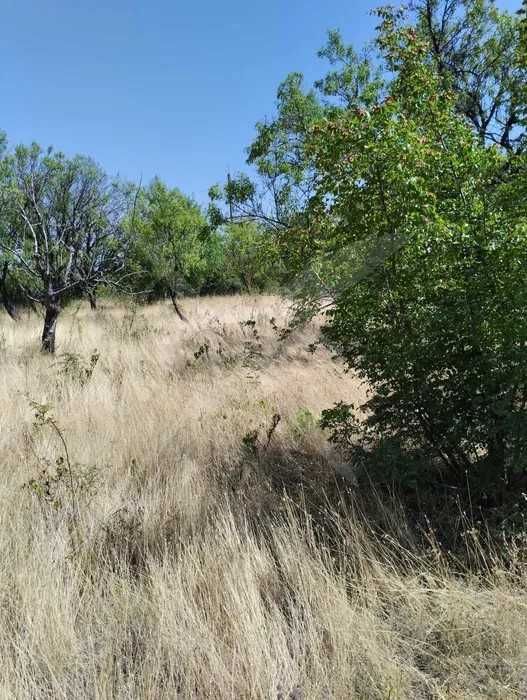 Продава се Парцел в Асеновград - 2201 кв.м за 28 €/кв.м - Снимка #1